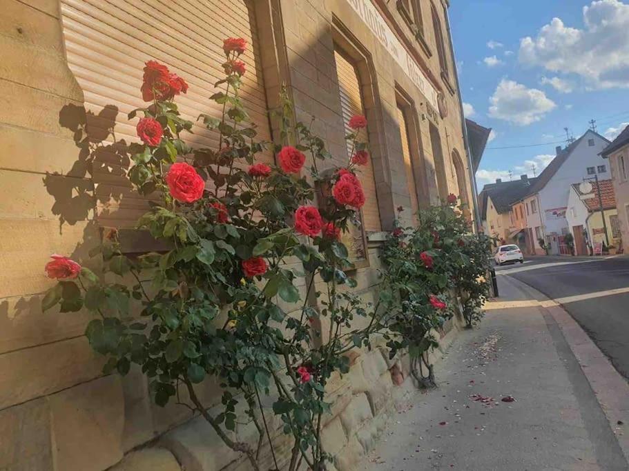 Апартаменти Wohlfuehloase Auf 133-160Qm In Der Idylle An Der Nahe Duchroth Екстер'єр фото