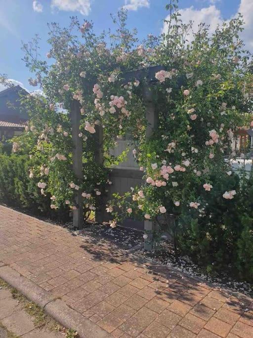 Апартаменти Wohlfuehloase Auf 133-160Qm In Der Idylle An Der Nahe Duchroth Екстер'єр фото